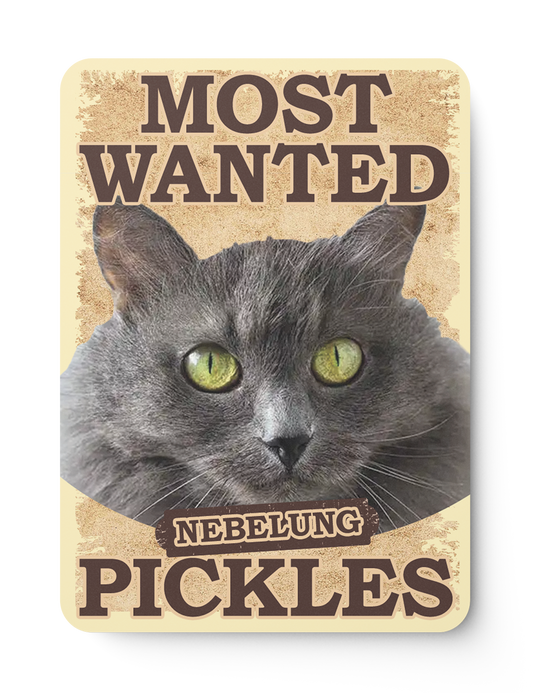 Pet-Wanted-Front-Side-Card-Design-Template